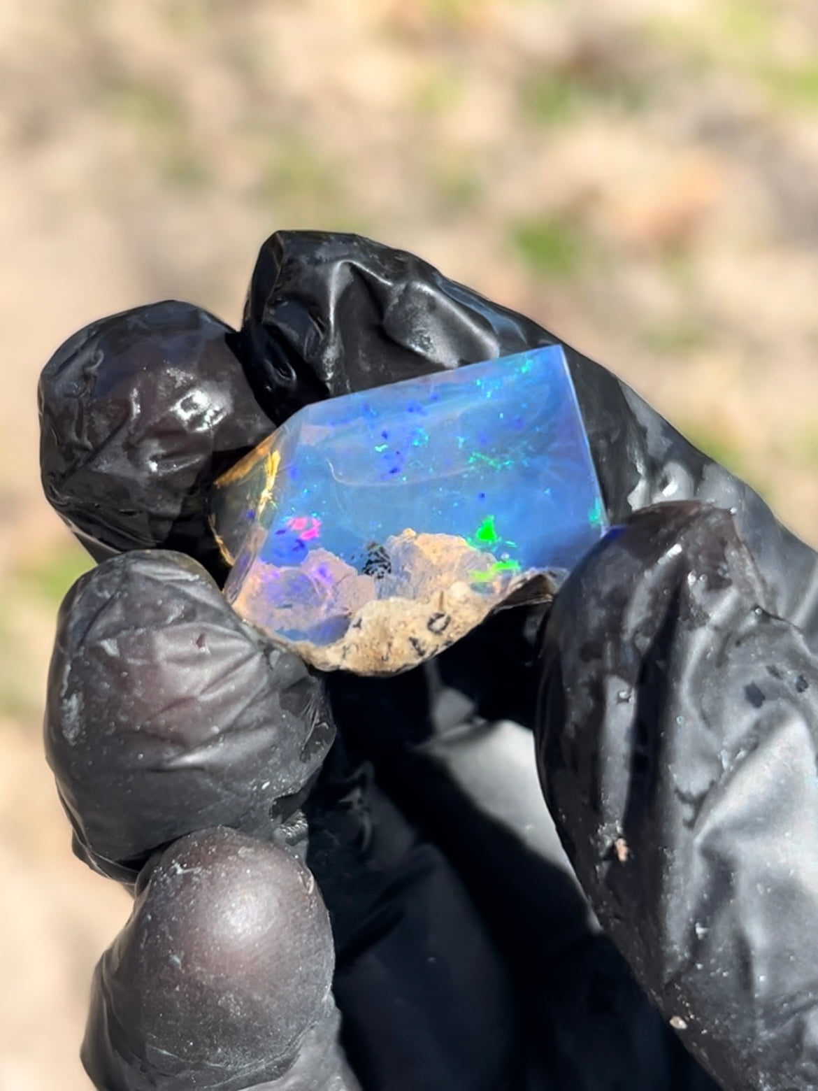36.5ct Polished Specimen Opal