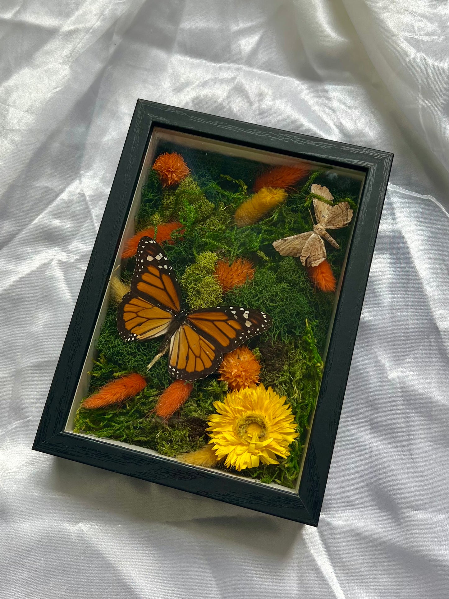 Bug Art