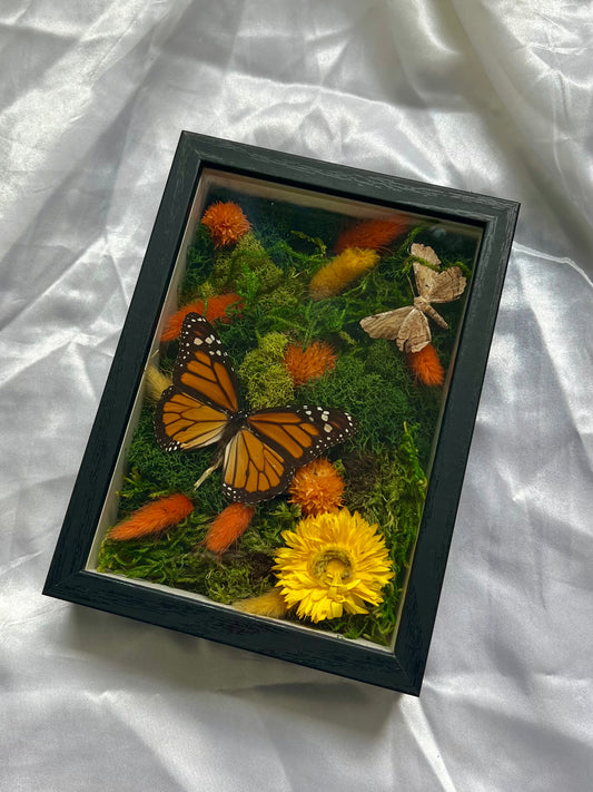 Bug Art