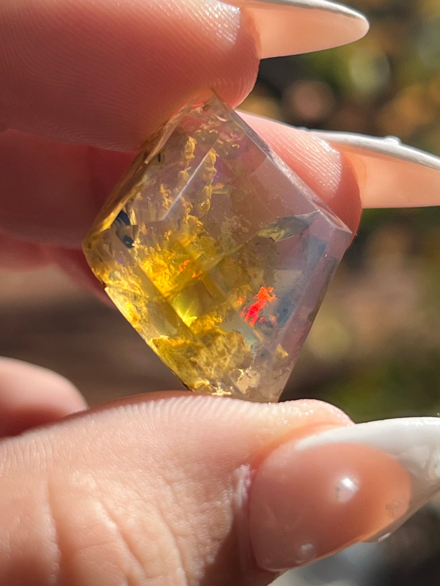 35.5ct Polished Specimen Opal