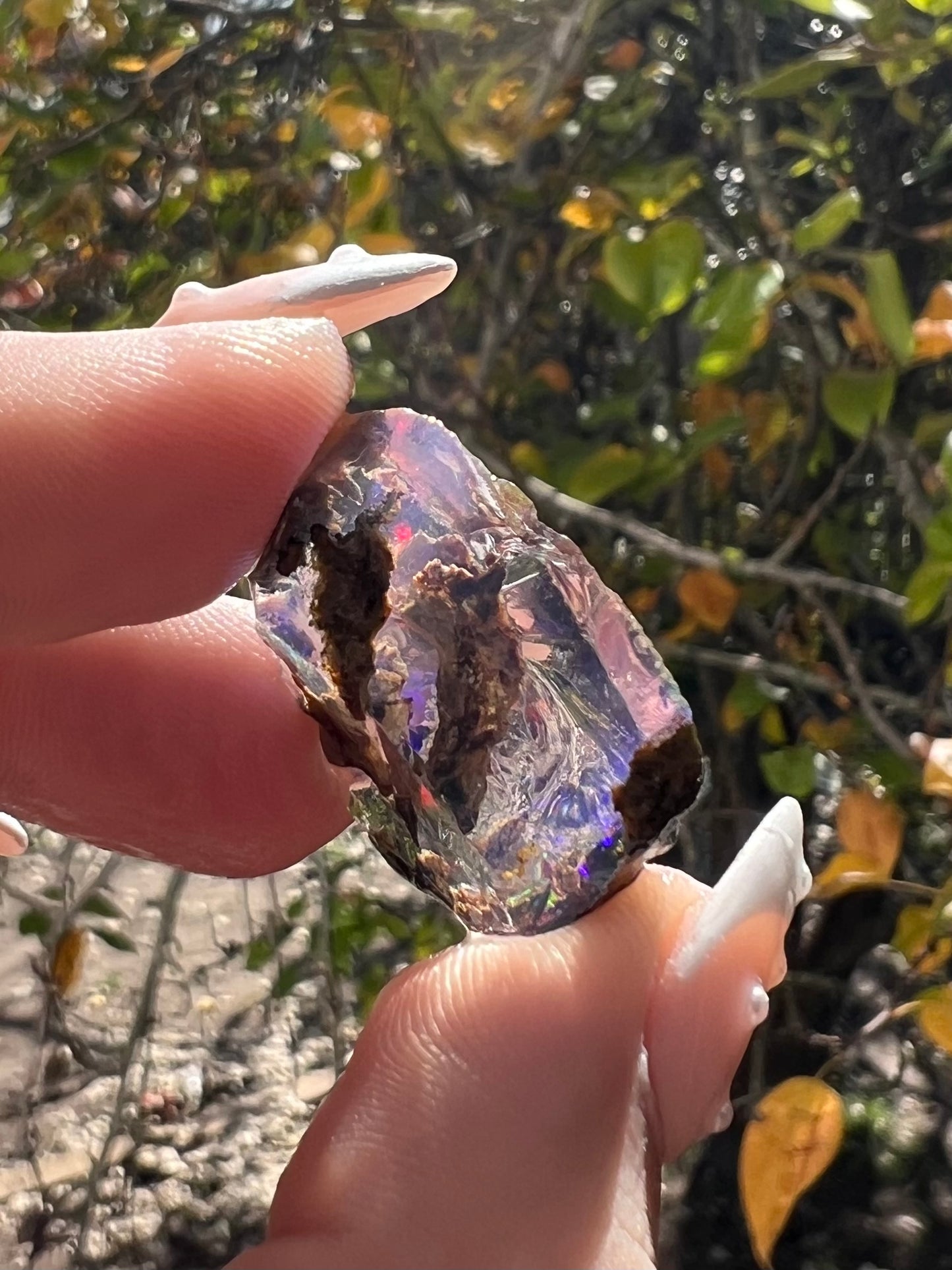 4.9g Specimen Opal