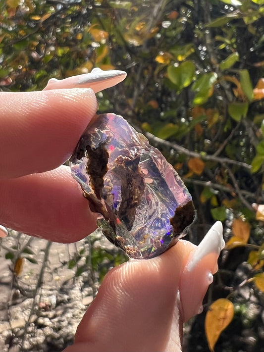 4.9g Specimen Opal
