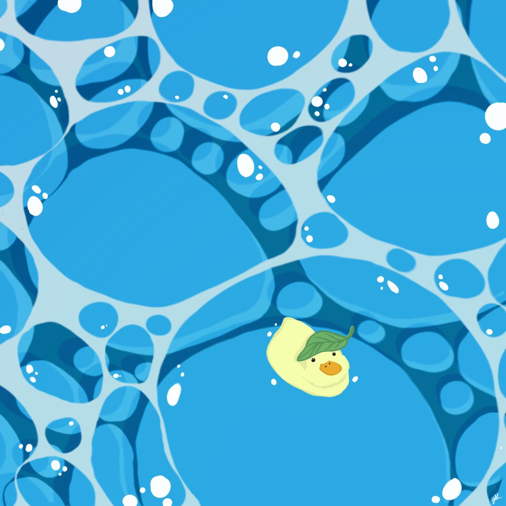 Duck Pond