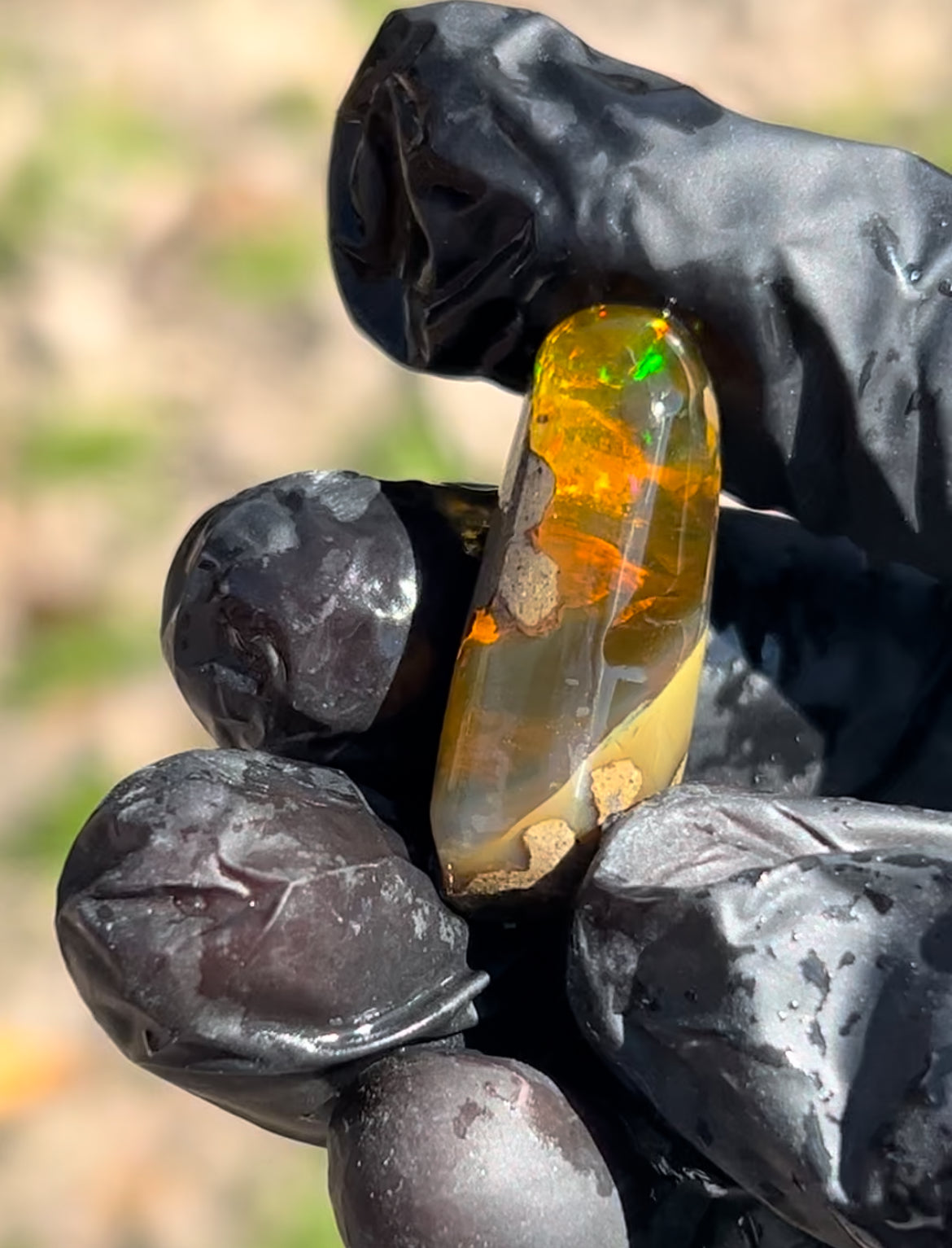 28.5ct Polished Specimen Opal