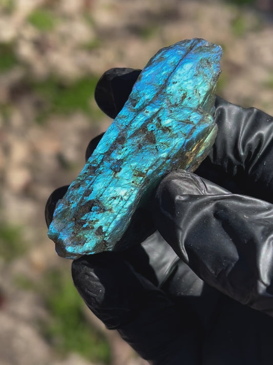 48.8g Labradorite